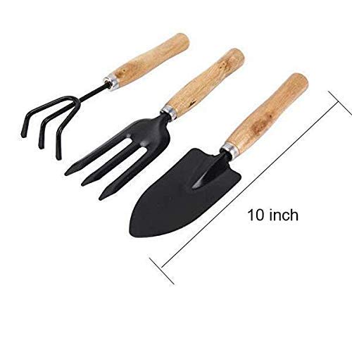 Gardening Tools Set for Home (Set of 3) | Tools Kit for Home Gardening | Garden Tool Set Combo | Terrace Gardening Accessories