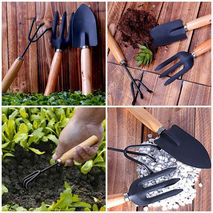 Gardening Tools Set for Home (Set of 3) | Tools Kit for Home Gardening | Garden Tool Set Combo | Terrace Gardening Accessories