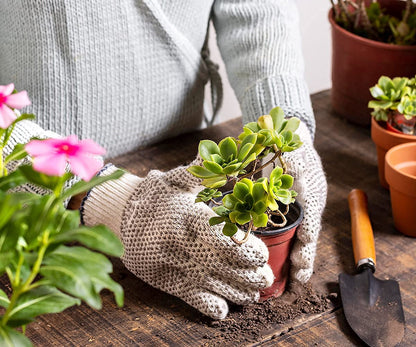 Gardening Tools Set for Home (Set of 3) | Tools Kit for Home Gardening | Garden Tool Set Combo | Terrace Gardening Accessories