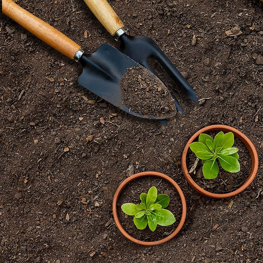 Gardening Tools Set for Home (Set of 3) | Tools Kit for Home Gardening | Garden Tool Set Combo | Terrace Gardening Accessories