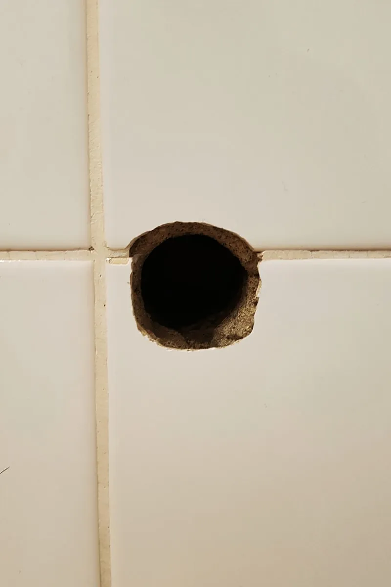 Shower Drain